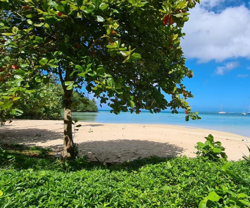 Manta Lodge avec 4x4 PleineNature BordLagon Haapu Extérieur photo