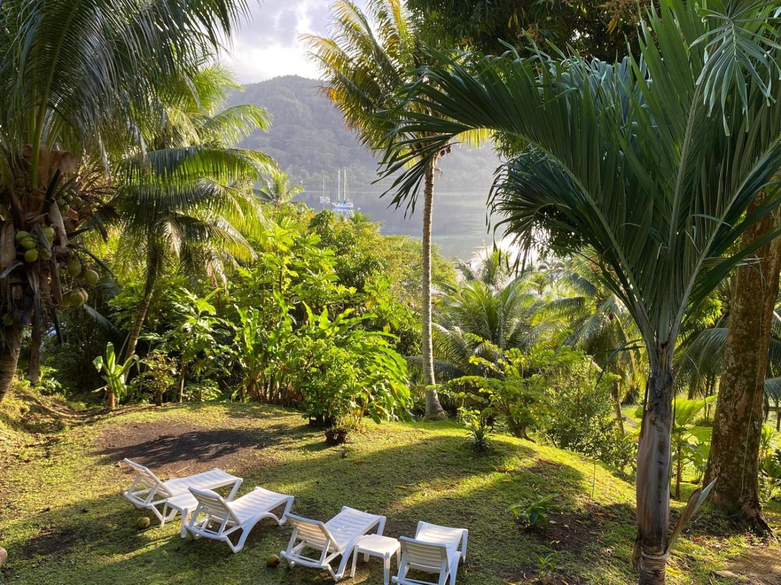 Manta Lodge avec 4x4 PleineNature BordLagon Haapu Extérieur photo