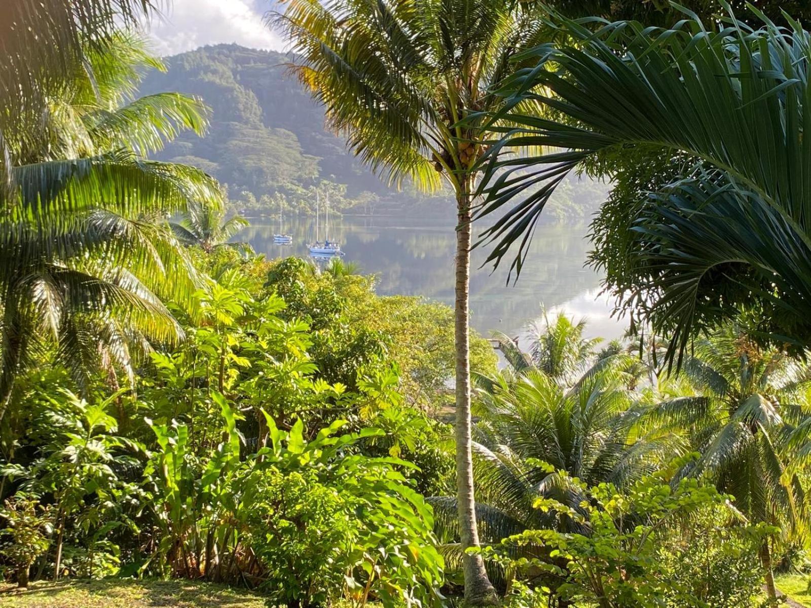 Manta Lodge avec 4x4 PleineNature BordLagon Haapu Extérieur photo