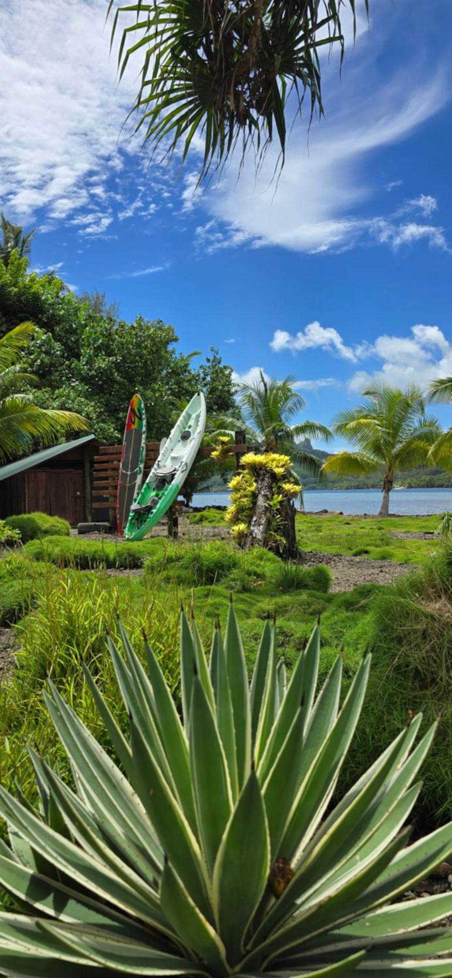 Manta Lodge avec 4x4 PleineNature BordLagon Haapu Extérieur photo